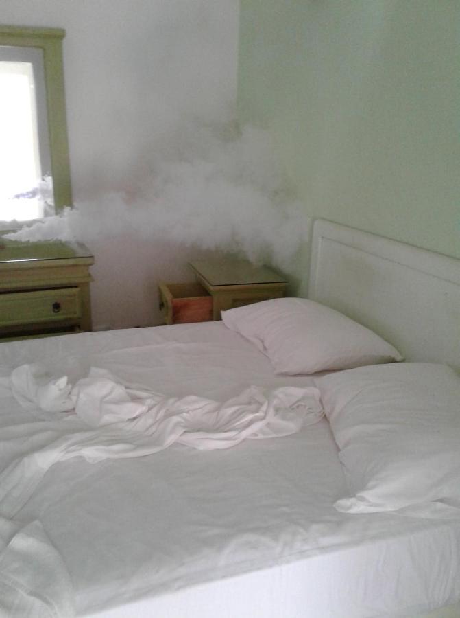 Hotel Quinta Mar Y Selva Chacala  Zewnętrze zdjęcie